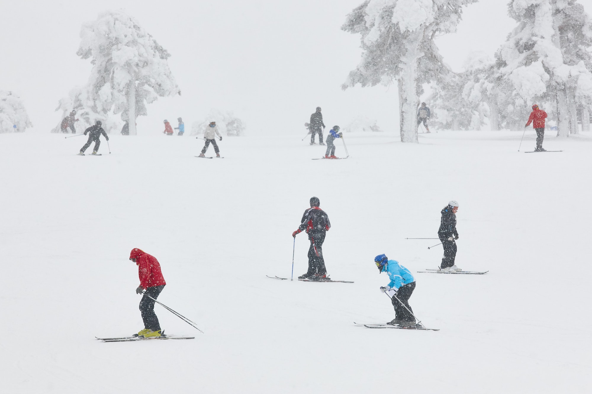Skiers on a snow forest landscape. Winter sport. Horizontal